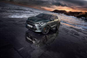 Cupra Fiyat Listesi 2025