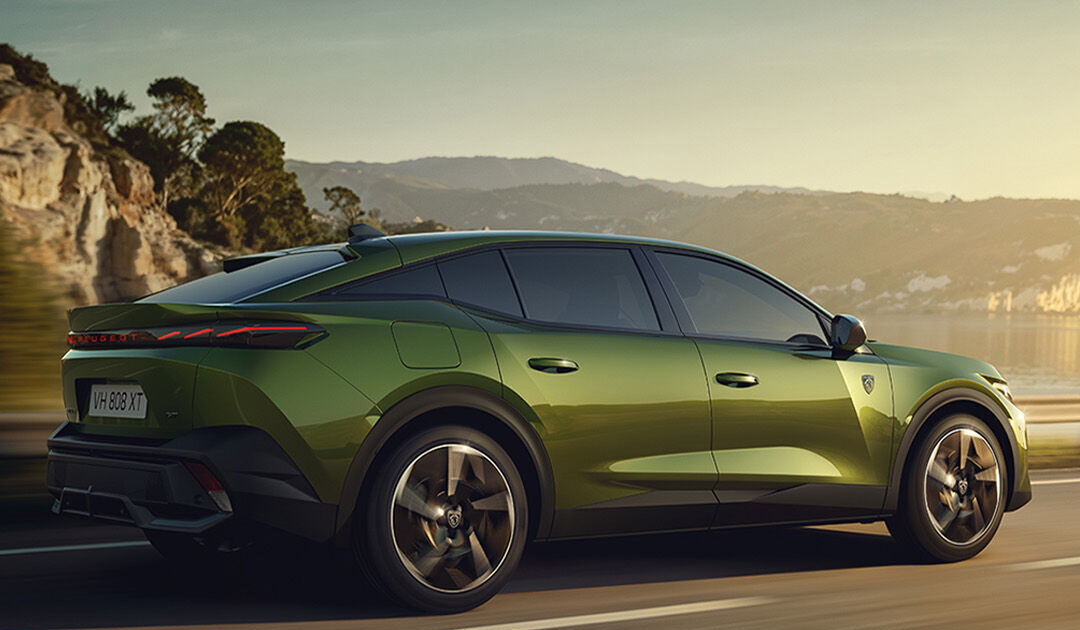 2026 Şubat Otomotiv Pazarı Analizi